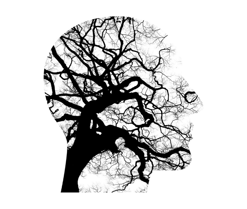 Design sem nome (14)